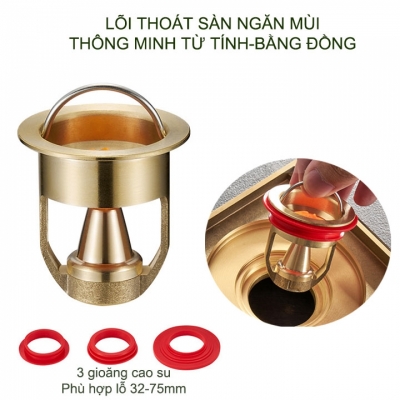 loi thoat san tu tinh thong minh