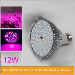 den led trong cay trong nha 12W