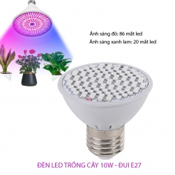 den led trong cay trong nha 10W